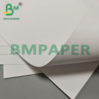 200gsm Ice Cream Egg Waffle Cone Packaging Paper Raw Material Roll