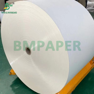240gsm + 18g PE Coated Cupstock Paper For Tray Mats Water Resistant 650mm