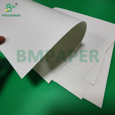 240gsm + 18g PE Coated Cupstock Paper For Tray Mats Water Resistant 650mm