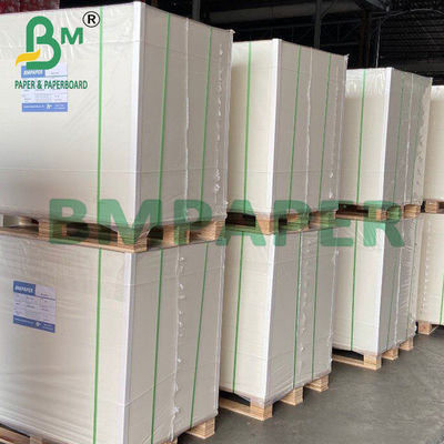 250g + 20g Cup Base Paper Single Side PE Coated Board 70 * 100cm