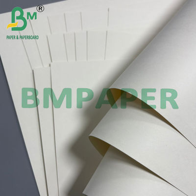 250g + 20g Cup Base Paper Single Side PE Coated Board 70 * 100cm