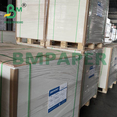 250g + 20g Cup Base Paper Single Side PE Coated Board 70 * 100cm