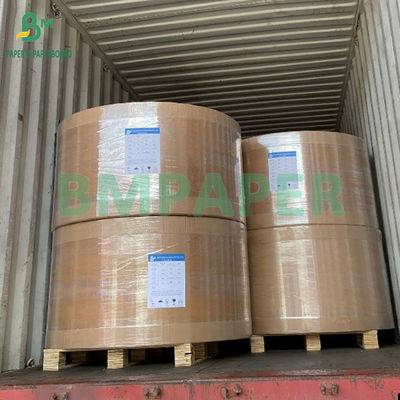70gsm 80gsm CB CFB CF Carbonless NCR Autocopy Paper Roll15 1/2&quot;  19&quot; Widths