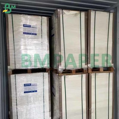 30gsm White Semi-Transparent Food Wrapping Paper For Baking Cup