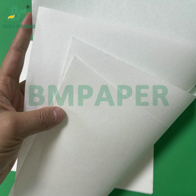 50gram Bamboo Pulp Coffee Filters Paper With Jumbol Roll Width 308mm White Color