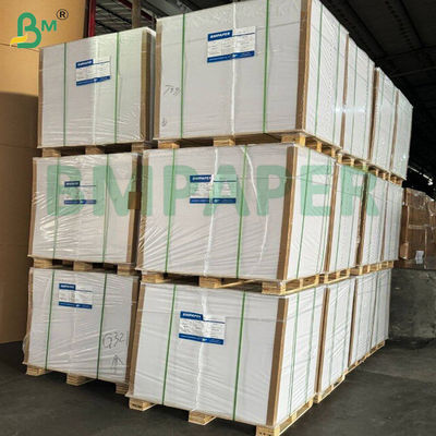 70gsm 80gsm High White Speed Printing Woodfree Paper For Excercise Book