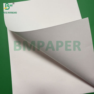 120gsm Food Contact Approved Bleached White Kraft Paper Roll Custom Width