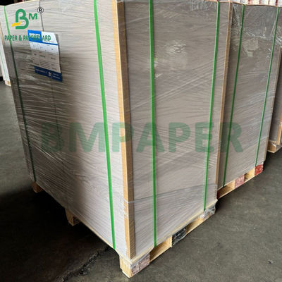 450gsm 400gsm C1S Clay-Coated Paper With Grey Back 22&quot; X 24&quot; Sheets