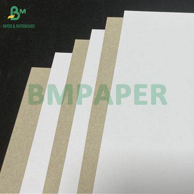 450gsm 400gsm C1S Clay-Coated Paper With Grey Back 22&quot; X 24&quot; Sheets