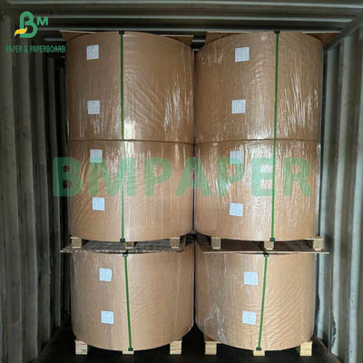 50gsm Bleached And Unbleached Food Grade Uncoated Coffee Filter Paper