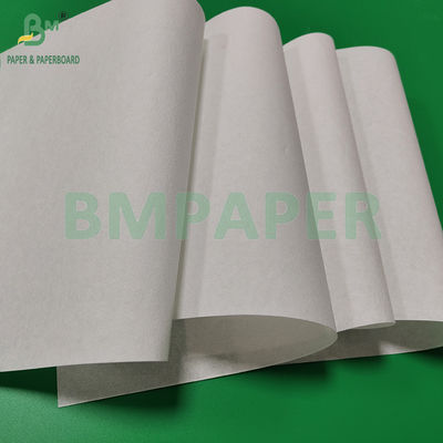 50gsm Bleached And Unbleached Food Grade Uncoated Coffee Filter Paper