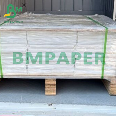 100um Eco-Friendly PET Synthetic Paper Sheet For Outdoor Advertisement