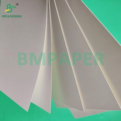 210gsm 230gsm 15g PE Matte Coating White Cup Paper For making Coffee Cup