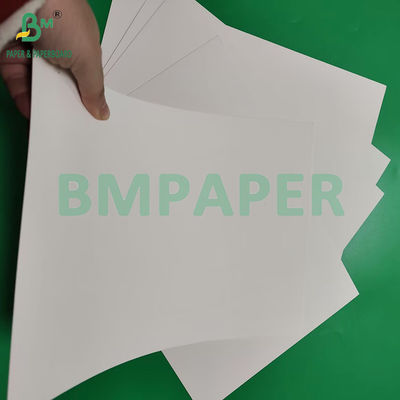 210gsm 230gsm 15g PE Matte Coating White Cup Paper For making Coffee Cup
