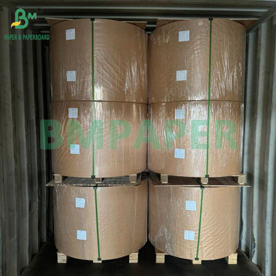 210gsm 230gsm 15g PE Matte Coating White Cup Paper For making Coffee Cup