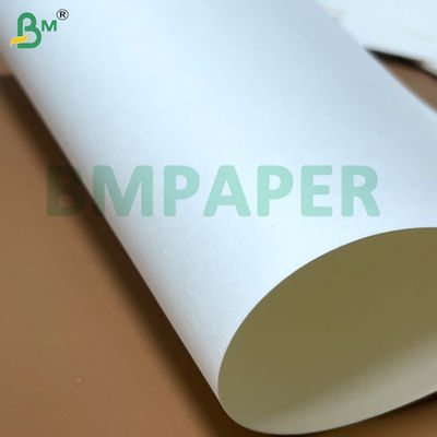 Food Grade Noodle Bowl Paper Board 700mm x 1000mm 200g + 20g PE Coated