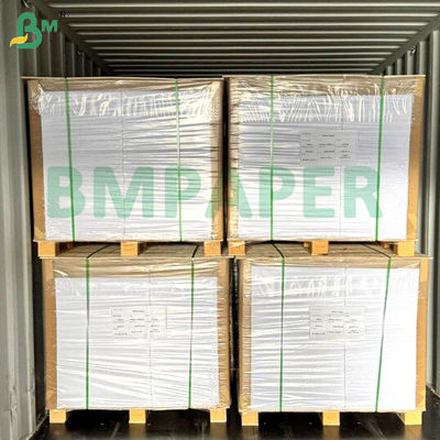 Food Grade Noodle Bowl Paper Board 700mm x 1000mm 200g + 20g PE Coated