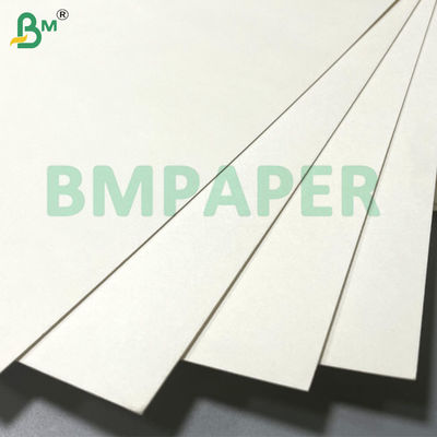 Eco - Friendly Waterproof Good Stiffness Cup Paper Board Non - Toxic 100gsm PE Coated