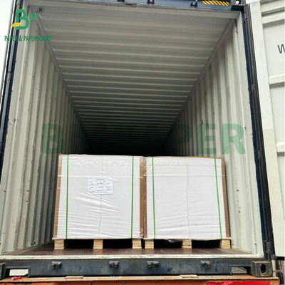 240g 260g Pure Pulp Printable CupStock Paper For Making Coffee Cups