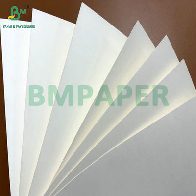 240g 260g Pure Pulp Printable CupStock Paper For Making Coffee Cups 90cm 105cm