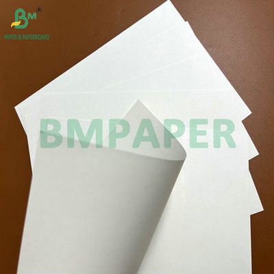 240g 260g Pure Pulp Printable CupStock Paper For Making Coffee Cups 90cm 105cm