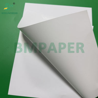 40 - 90gsm White Fruit Wrapping Paper For Grapes Vegetables Packaging Water Resistant