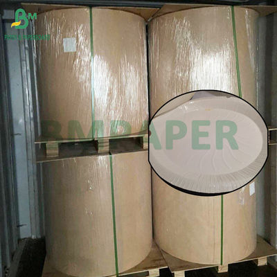 230g - 300g Food Grade PET Tray Liner Rolls For Ovens High Temperature