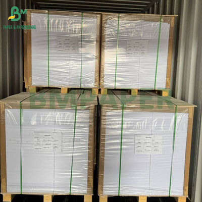 230g - 300g Food Grade PET Tray Liner Rolls For Ovens High Temperature