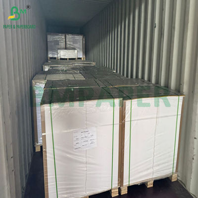 270gsm 286gsm Aqueous Plastic Free Paper For CUPP1S Waterproof  70 X 100cm