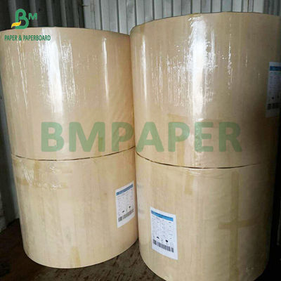 250g 300g Aqueous Plastic Free Paper Cups Bowls Paper Made From 100% Bamboo Fibre
