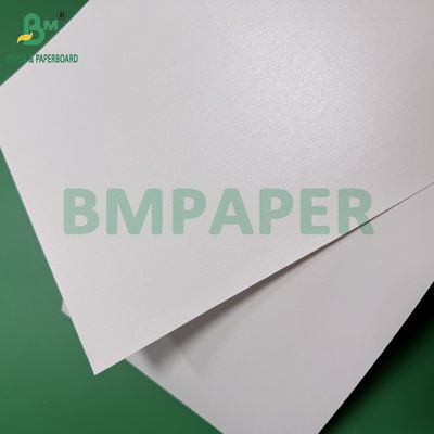 260g 280g + 10g Biodegradable Plastic-Free Aqueous Coated Paper For Cups Bowls