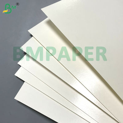 180gsm 200gsm Aqueous Plastic Free Paper Cupstock Paper Heat Resistant 120°C For Paper Cups Bowl  Takeaway Containers