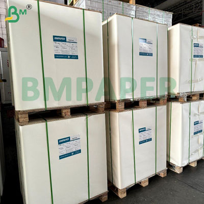 180gsm 200gsm Aqueous Plastic Free Paper Cupstock Paper Heat Resistant 120°C For Paper Cups Bowl  Takeaway Containers