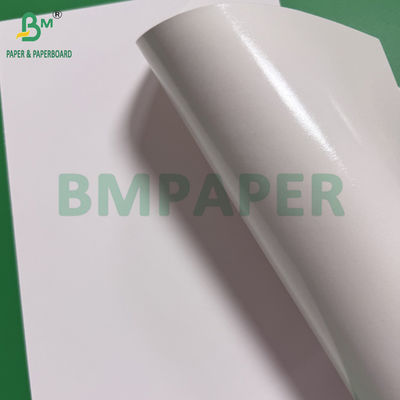 Frozen Food Paper 275gsm White Paperboard With 15g Moisture-Proof PE Gloss Coating