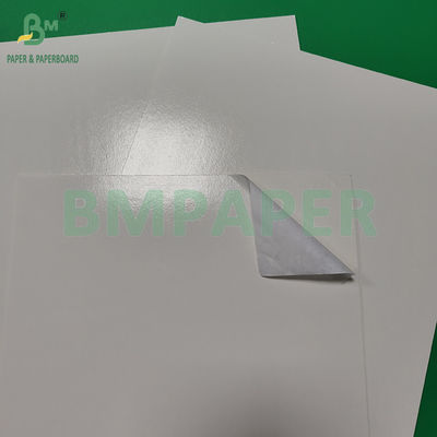 300+15gsm Glossy Pe Coated Food Grade White Paperboard Packing Frozen Products