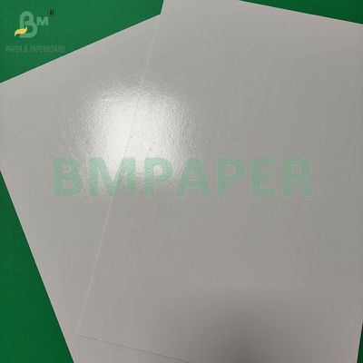 300+15gsm Glossy Pe Coated Food Grade White Paperboard Packing Frozen Products