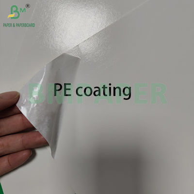 300+15gsm Glossy Pe Coated Food Grade White Paperboard Packing Frozen Products