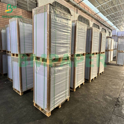 300+15gsm Glossy Pe Coated Food Grade White Paperboard Packing Frozen Products