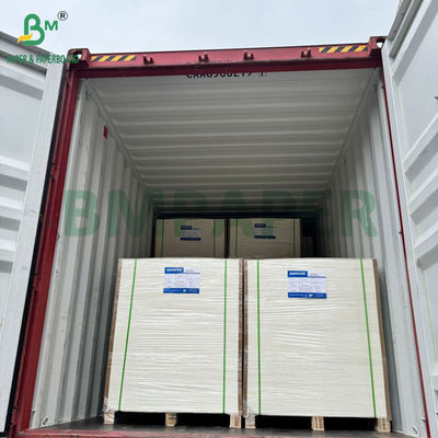 240g +15PE Coated 1 Side Cupstock Paper For Drink Cups 31 x 43inch Waterproof 100%