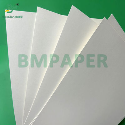 240g +15PE Coated 1 Side Cupstock Paper For Drink Cups 31 x 43inch Waterproof 100%