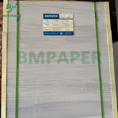 240g +15PE Coated 1 Side Cupstock Paper For Drink Cups 31 x 43inch Waterproof 100%