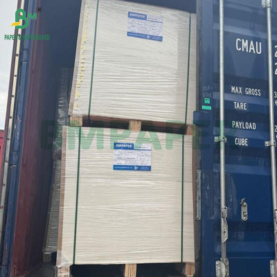 330gsm 300gsm White Sulphate Paperboard C1S Ivory Board 700x1000mm