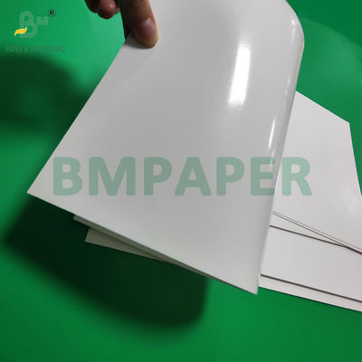 250gsm + 15g PE Coated Frozen Food Paper For Seafood Packaging 89 x 119cm
