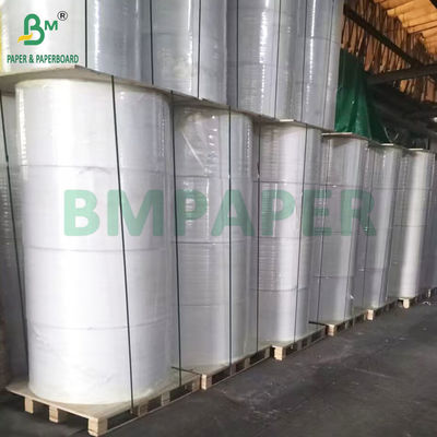 Offset Printing 52gsm 55gsm 58gsm 60gsm Blue Image NCR Copier Paper In Reel