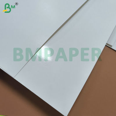 Recycled Cartonboard With Barrier Safe For Frozen Food Packaging
