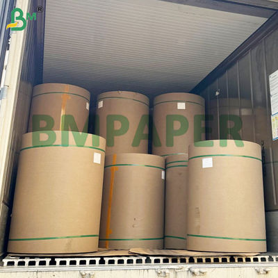 Recycled Cartonboard With Barrier Safe For Frozen Food Packaging
