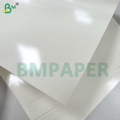 Microwaveable And Ovenable PET Coating Bowl Paper Good Sealbility