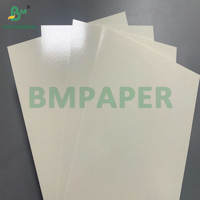 Heat-resistant PET Coated 315gsm White Paperboard For making Food Container