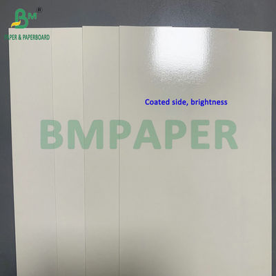 Heat-resistant PET Coated 315gsm White Paperboard For making Food Container