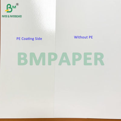 275gsm + 15g PE White Paperboard with PE In Sheet for Frozen Food Packaging